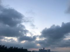 -万绿园