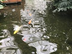-汤山翠谷生态餐厅