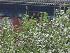 -西海子公园