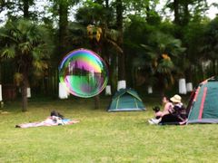 -黄海国家森林公园