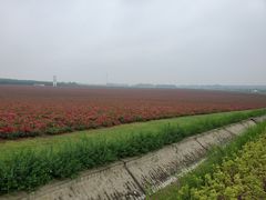 -南京枫彩漫城