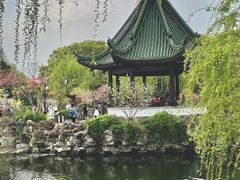 -无锡蠡湖国家湿地公园-蠡园