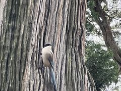 -北京国子监胡同
