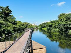 -济州森林小火车生态公园