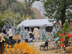 -HERRE·FARM 赫尔露营农场·团建聚会包场