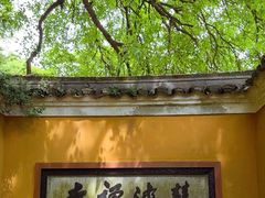 -普陀山慧济禅寺