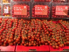 -坂田天虹