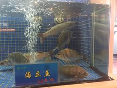 -益利大酒楼(井岸店)
