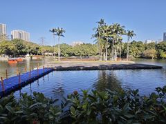 -荔湾湖公园