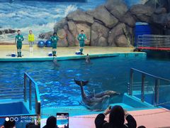 -福州罗源湾海洋世界旅游区