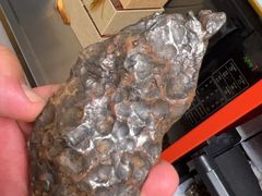 -志强陨石馆(双季花艺店)