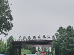 -黄海国家森林公园