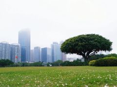 -万绿园