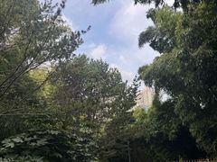 -苏州河梦清园环保主题公园