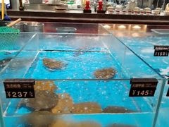 -艳阳天·非遗楚菜(武汉客厅店)