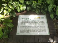 -呀诺达热带雨林