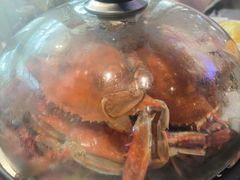 -半岛听涛蒸汽海鲜自助(K11店)