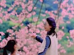 -风云岭森林公园