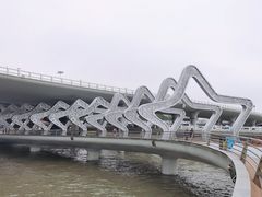 -演武大桥观景平台