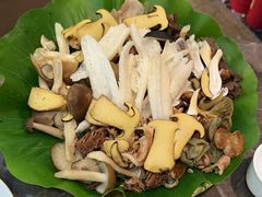 -野菌园·野生菌火锅首创第一家(关兴路总店)