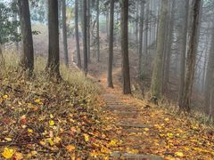 -比叡山