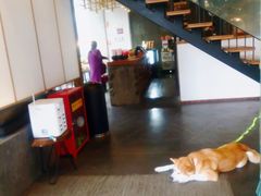-去茶山(新光里店)