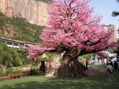-河南宝泉旅游区