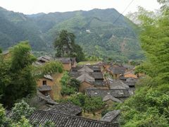 -杨家堂村