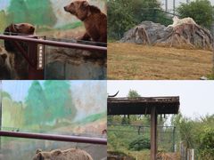 -济南野生动物世界