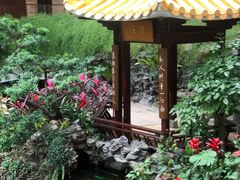 -白天鹅宾馆-宏图府餐厅