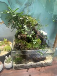 -娇玫荟SPA