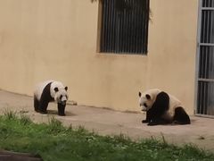 -西安秦岭野生动物园