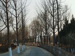 -东升八家郊野公园