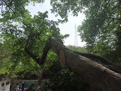 -幕燕滨江·燕子矶公园
