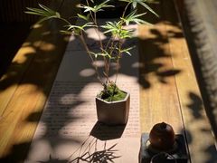 -老房子金沙元年川菜食府·花园餐厅(金沙店)