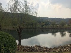 -龙寺生态园
