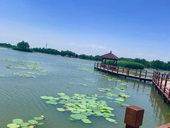 -白洋淀景区