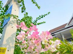 -Rimpa Lapin悬崖餐厅