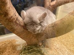 -龙猫仔乐园(惠福东路店)