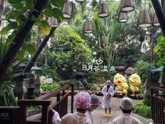 -厦门日月谷温泉渡假村