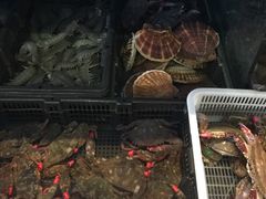 -渔家颂歌渔家味道(青石路店)