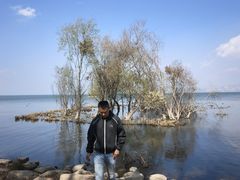 -洱海月湿地公园