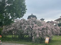 -中国农业博物馆
