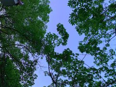 -火炉山森林公园