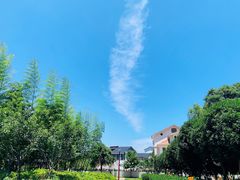 -龙坞茶村