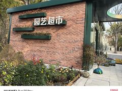 -新江湾城公园