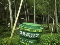 -同里国家湿地公园
