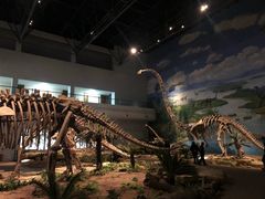 -自贡恐龙博物馆