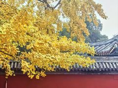 -北京艺术博物馆(万寿寺)