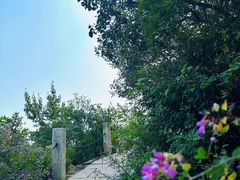 -北京凤凰岭